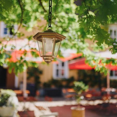 Gasthof Zum Hirsch Hotel Drehna Екстериор снимка